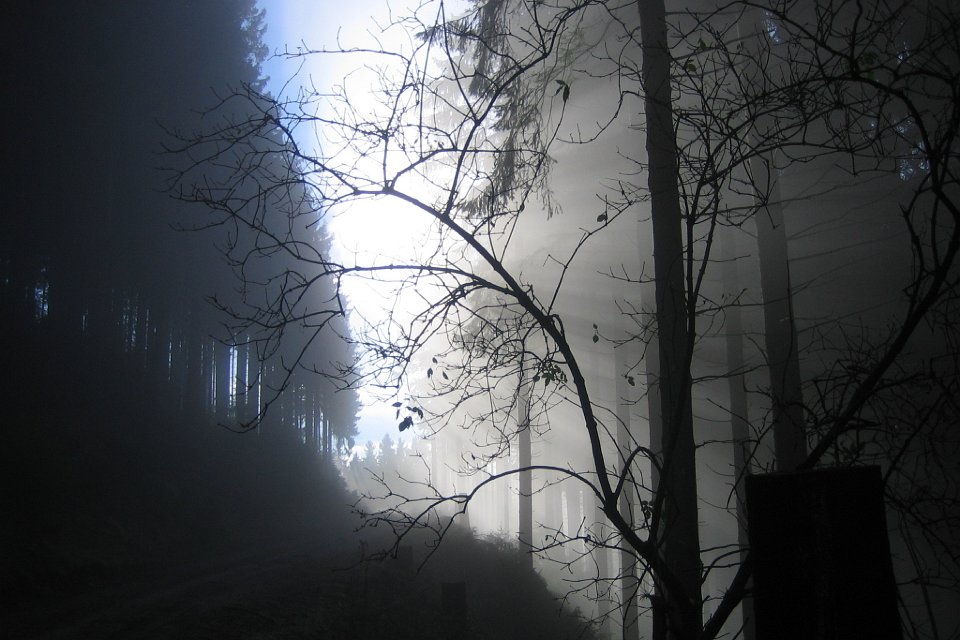 B 3 Schubert Bernd Nebel